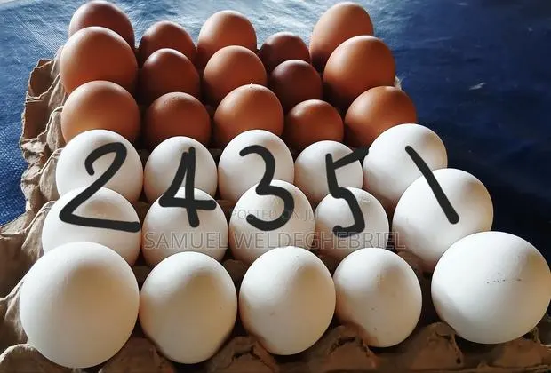 Fresh Clean Eggs · Photo 1