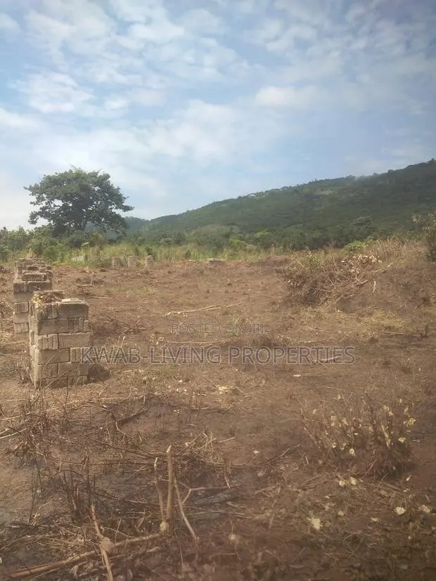 Titled Land at Dodowa Ayikuma · Photo 1