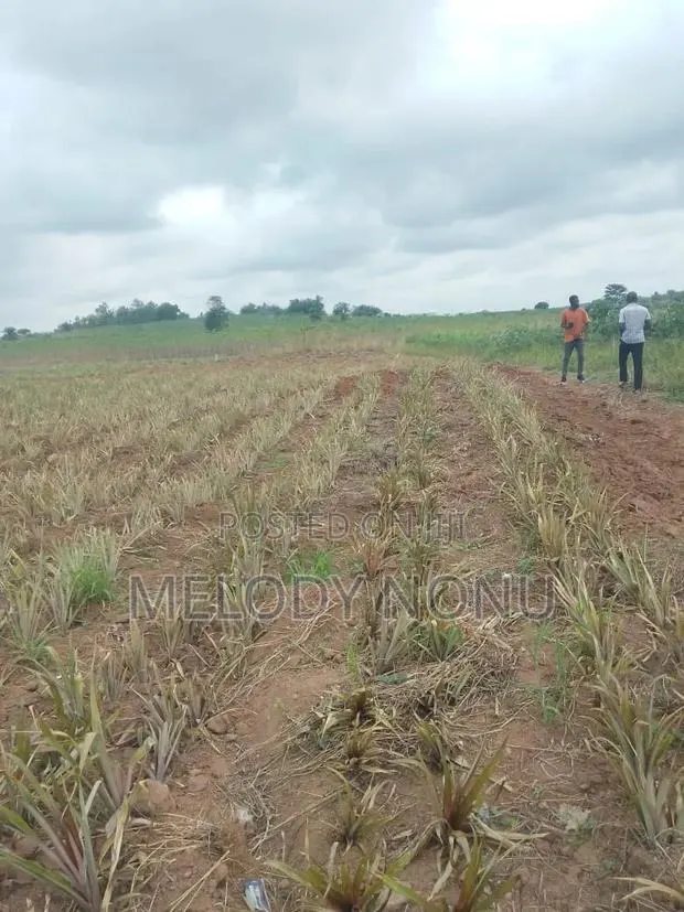 Land for Sale at Nsawam · Photo 1