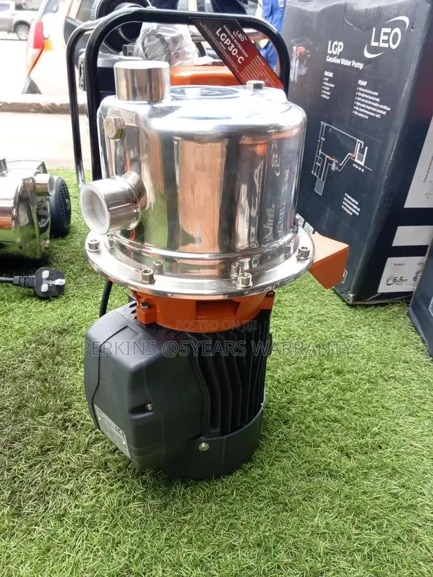 Powerful Leo 1.5hp · Photo 1