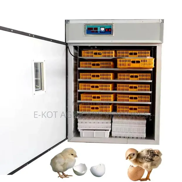 Egg Incubator · Photo 1