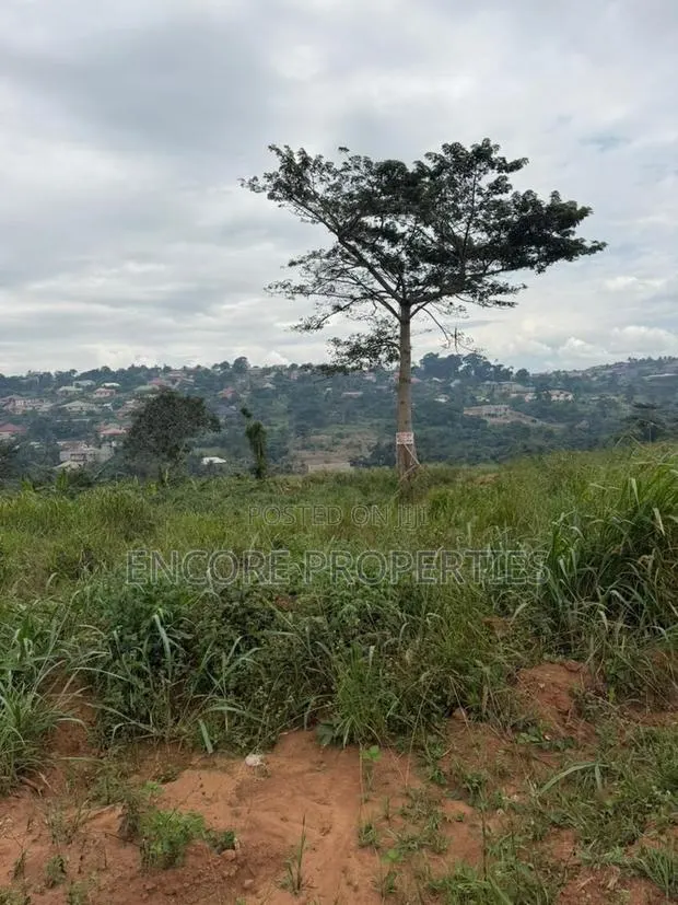 Residential Land for Sale! · Photo 1