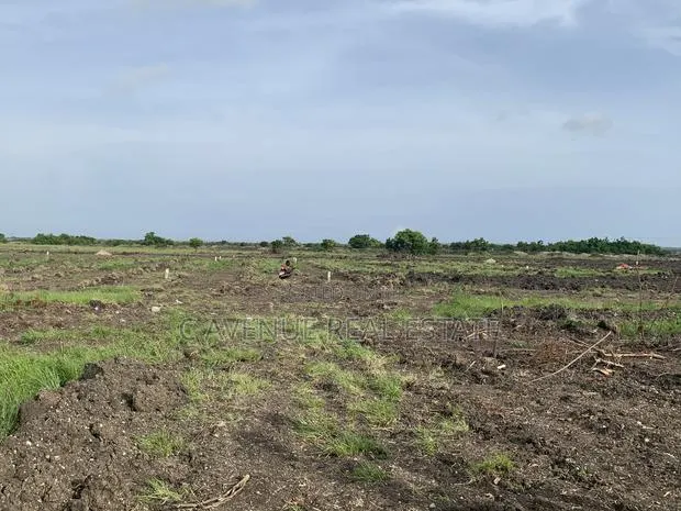 Dawhenya Zion City-Own Land in Dawhenya for Just GHC25,000! · Photo 1