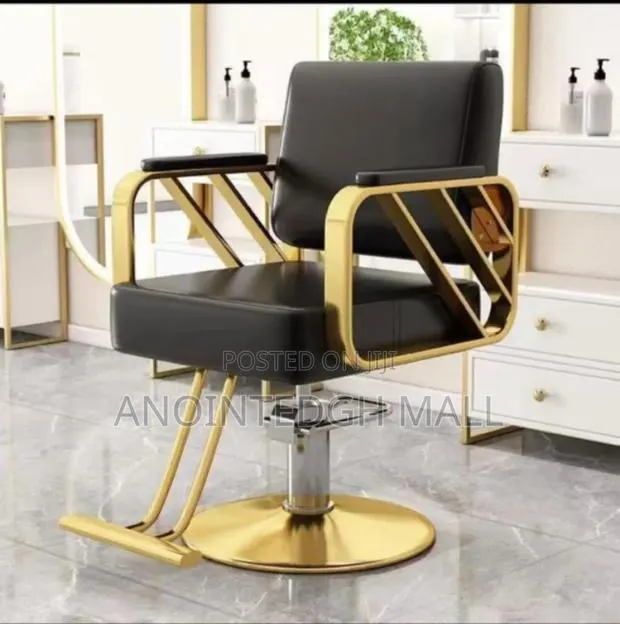 Luxury Salon Chair - Multicolor · Photo 1