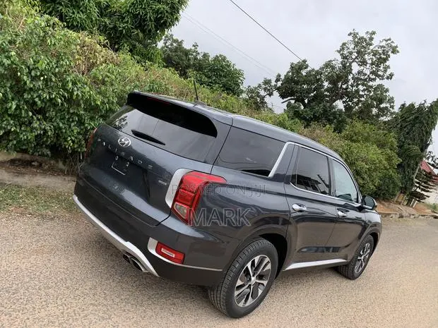Hyundai Palisade 2020 Gray · Photo 1