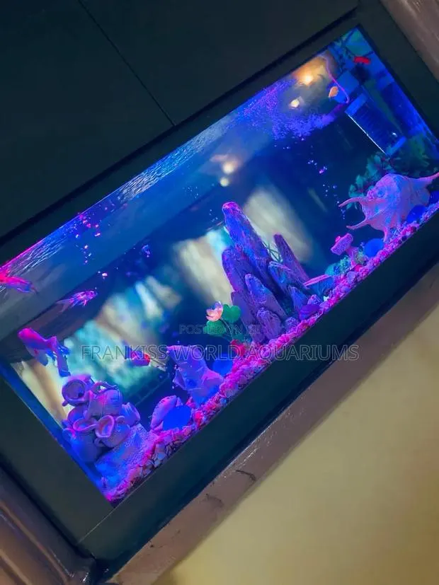 Double View Wall Unit Aquarium · Photo 1