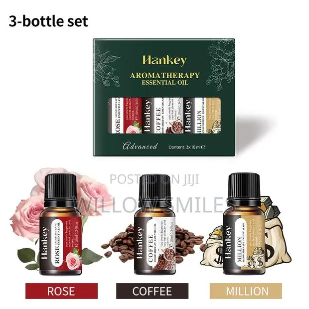 Aromatherapy Essential Oil 3bottle Set · Photo 1