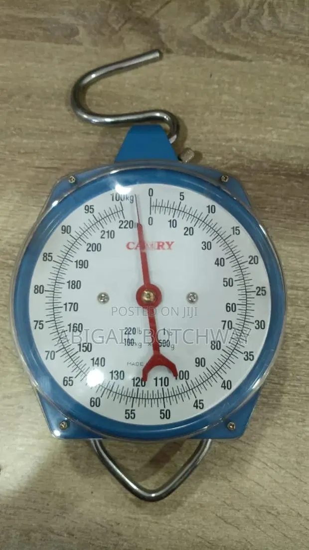 Hanging Scale 100kg · Photo 1