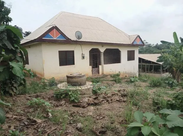 Pig Farm for Sale at Mankranso Dwenewoho · Photo 1