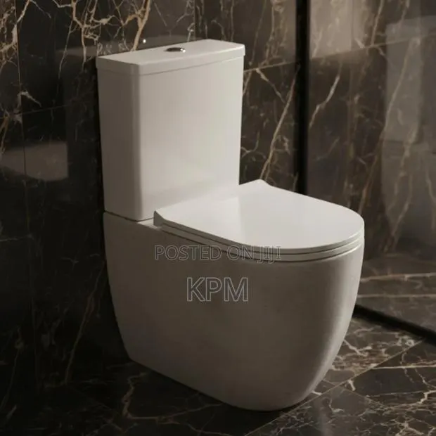 High Level Raised Egg Shaped 2 Piece Complete Wc Watercloset Slim Tank · Photo 1