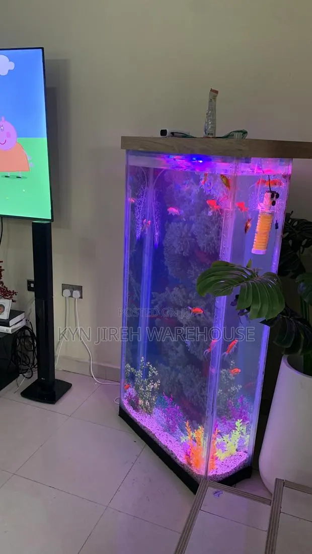 Bronya Aquarium With Fishes · Photo 1
