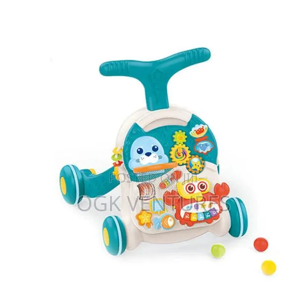 3in1 Push Walker · Photo 1
