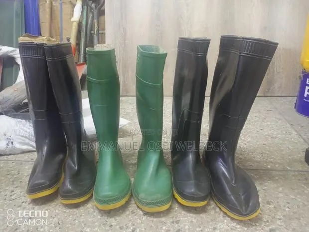 Wellington Boot · Photo 1