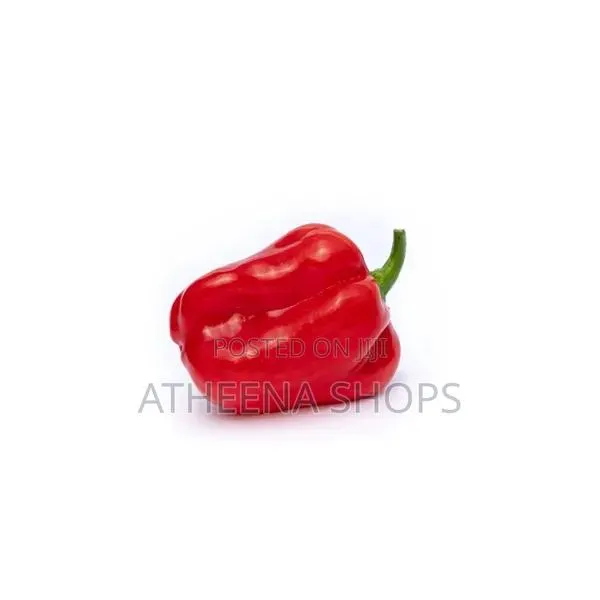 Hot Habanero Pepper Seeds (50 Grams) · Photo 3