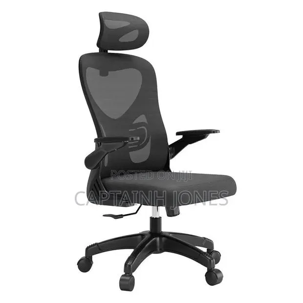 Ergonomic Chair · Photo 1