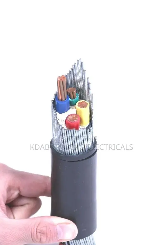 4×25 Amoured Cable · Photo 1