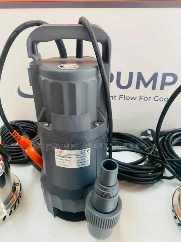Pick Up the 1.3 Hp Garden Submersible Pump · Photo 1
