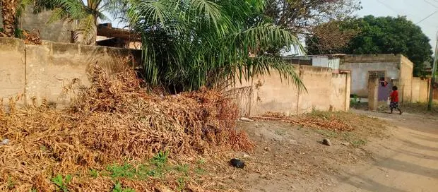 Title Registered 4 Plots of Land West Legon · Photo 1