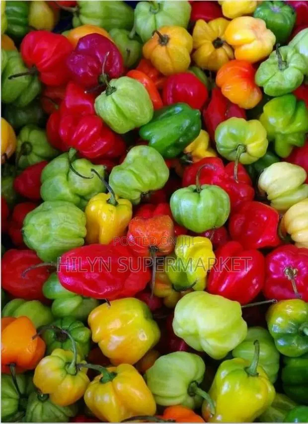 Fresh Habanero Pepper (Kpakpo Shito) · Photo 1