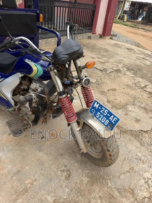 Tricycle 2025 Blue · Photo 1