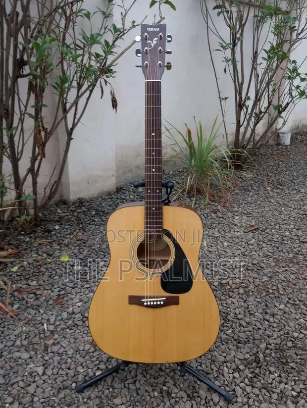Yamaha F310 Acoustic Guitar With Padded Bag · Photo 1