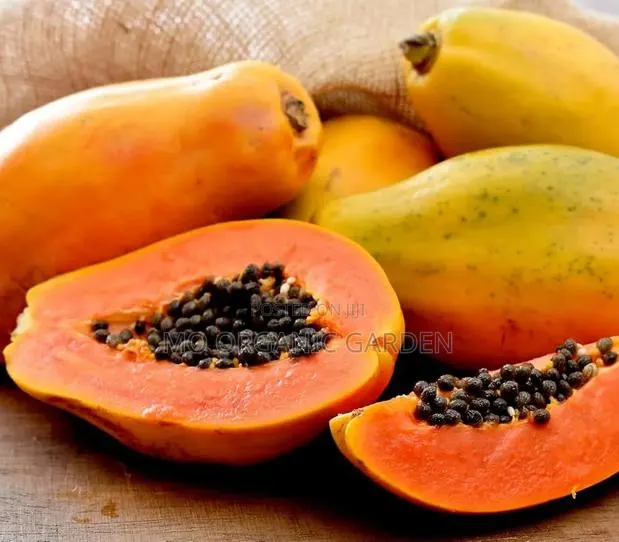 Taiwan Papaya Seedling F1 · Photo 1