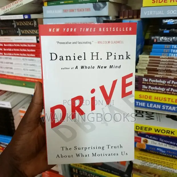 Drive: The Surprising Truth About What Motivates Us · Photo 1
