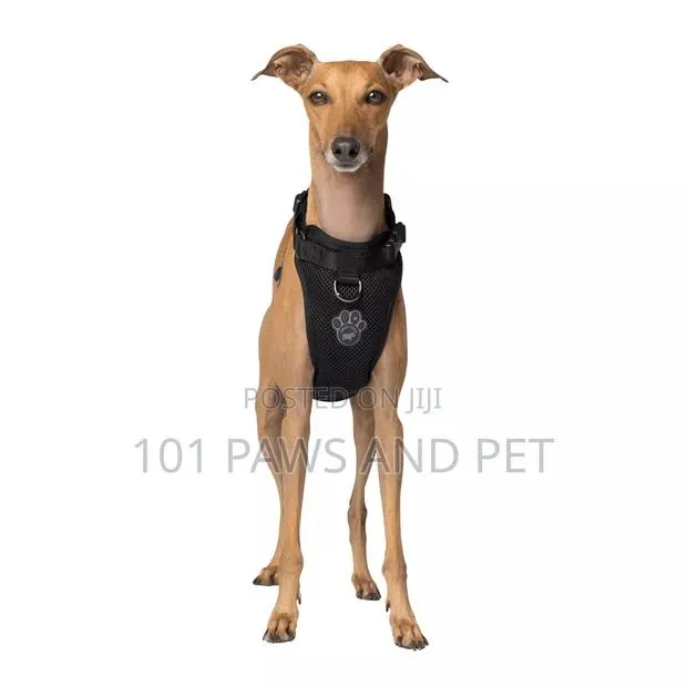 Canada Pooch Dog Harness - Black · Photo 1