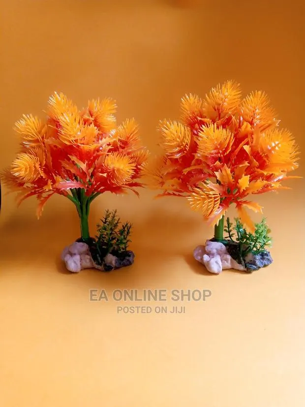 Aquarium Plants 20 Cm · Photo 1