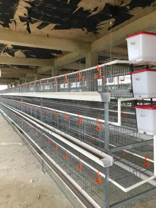 Poultry Equipment · Photo 1