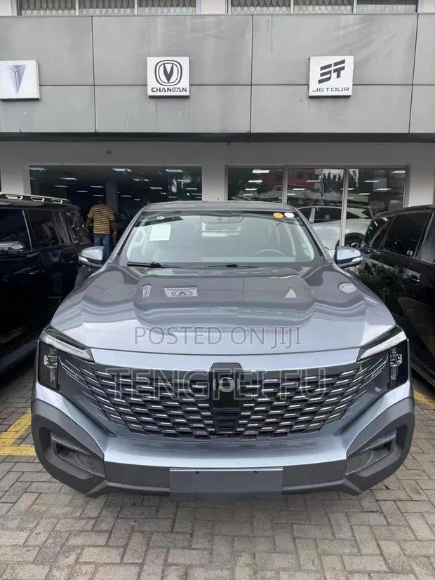 New Changan Hunter Plus 2.0 Petrol 4x4 2025 Gray · Photo 1