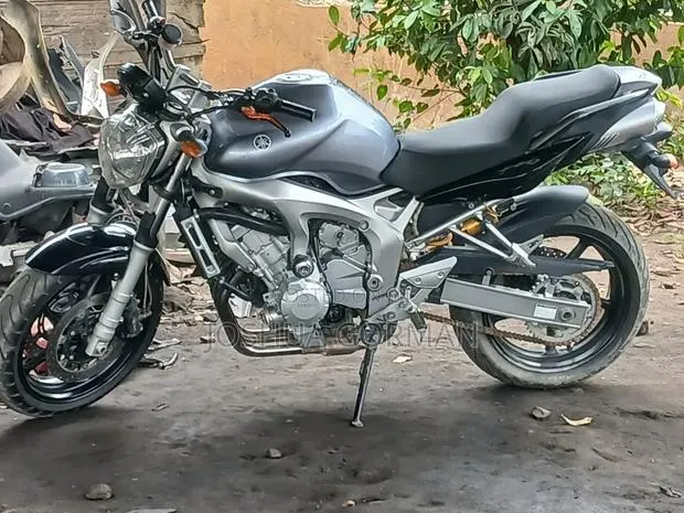 Yamaha FZ6 2009 Silver · Photo 1