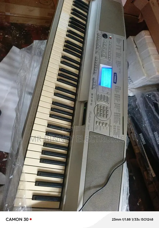 Yamaha Portable Grand Dgx300 · Photo 1