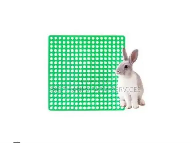 Rabbit Crates · Photo 1