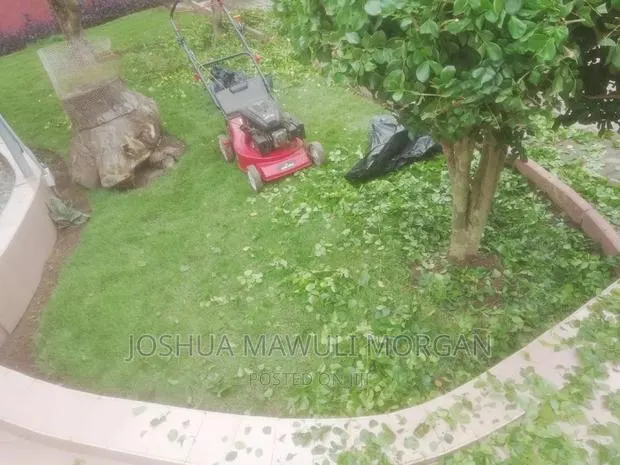 Landscaping,Hedge Edge Trimming,Lawn Mowing Maintenance · Photo 1
