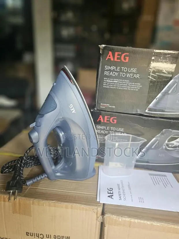 AEG Delicate 6000 Steam Iron · Photo 1