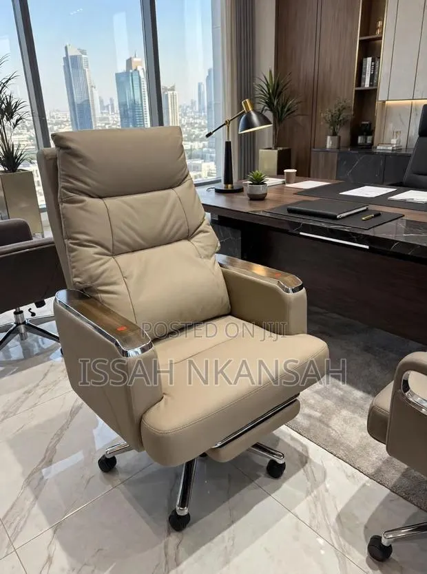 DIRECTOR Executive Chair · Photo 1