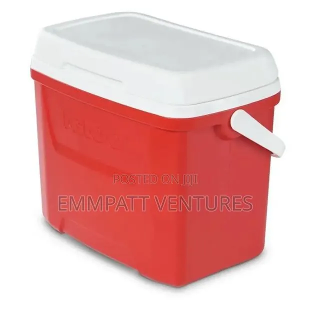 Ash And Green Igloo Ice Chest · Photo 1