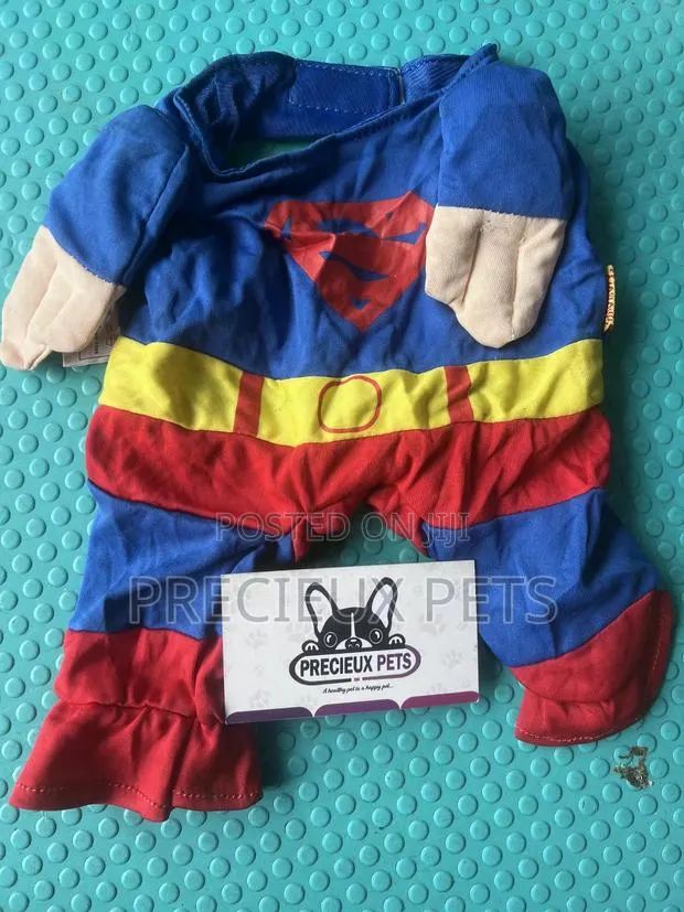 Toy Dog Clothing- New Stock -2025-0 00230200 · Photo 1