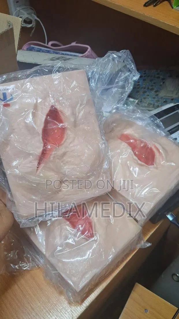 Vulva Suturing Training Stimulator · Photo 1