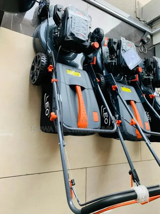 Folding Handle Leo 5.5hp Lawn Mower · Photo 1