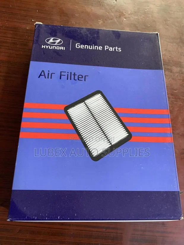 Hyundai 28113 A9100 Filter-Air Cleaner · Photo 1