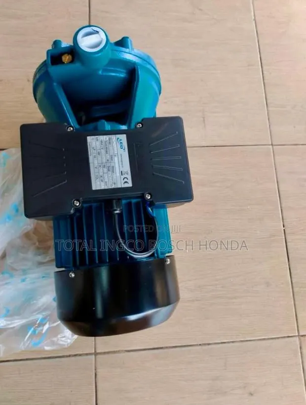 Surface Pump/ Leo Pumping Machine 5.5hp · Photo 1