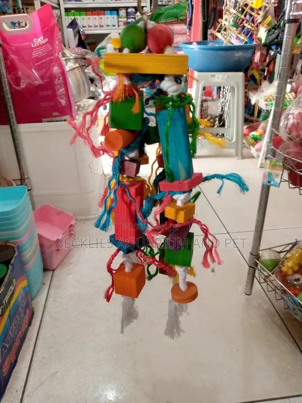 Long Parrot Play Toys · Photo 1