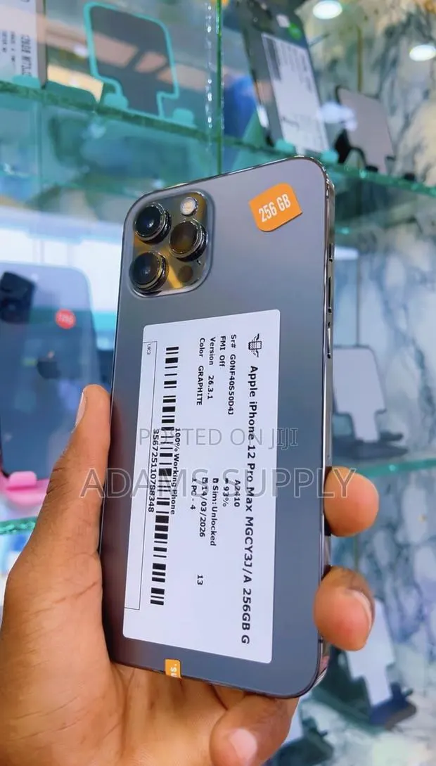 Apple iPhone 12 Pro Max 256 GB Silver · Photo 1