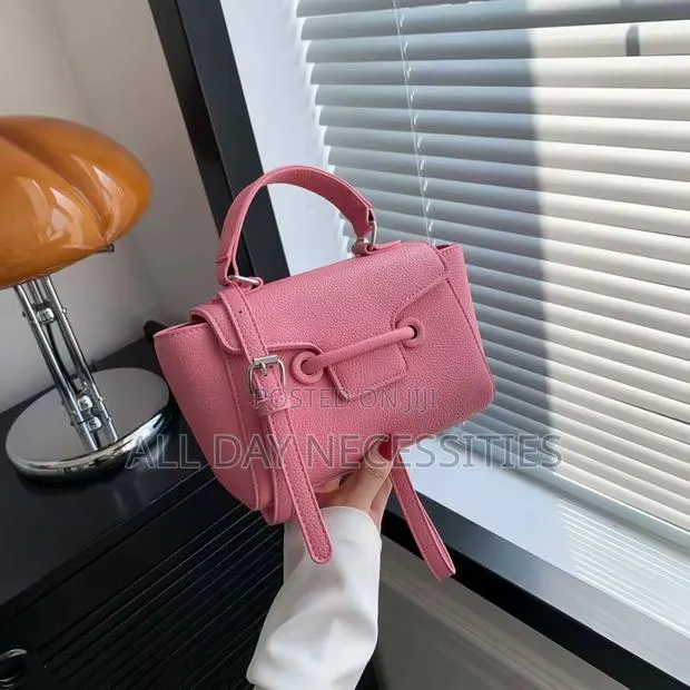 Ladies Handbag · Photo 1