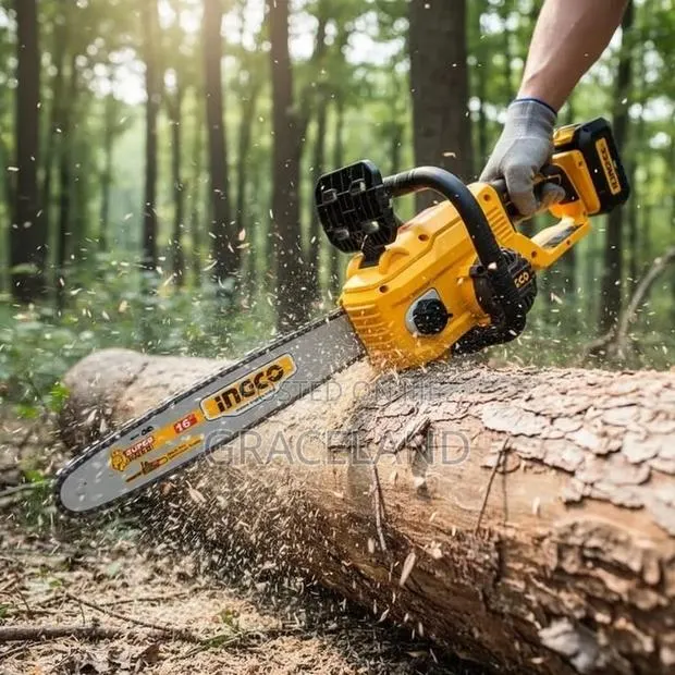 This Is Original INGCO Cordless Chainsaw Brushless 40V · Photo 1