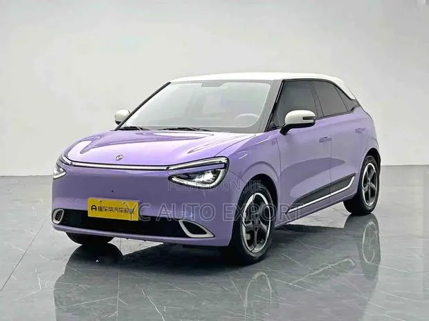 Dongfeng Nammi 01 42.3 kWh 430 Plus 2025 Purple · Photo 1