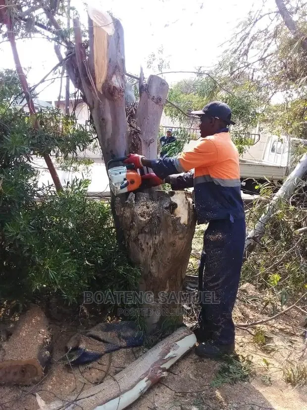 Tree Cutting Services -Chainsaw Operator. · Photo 1