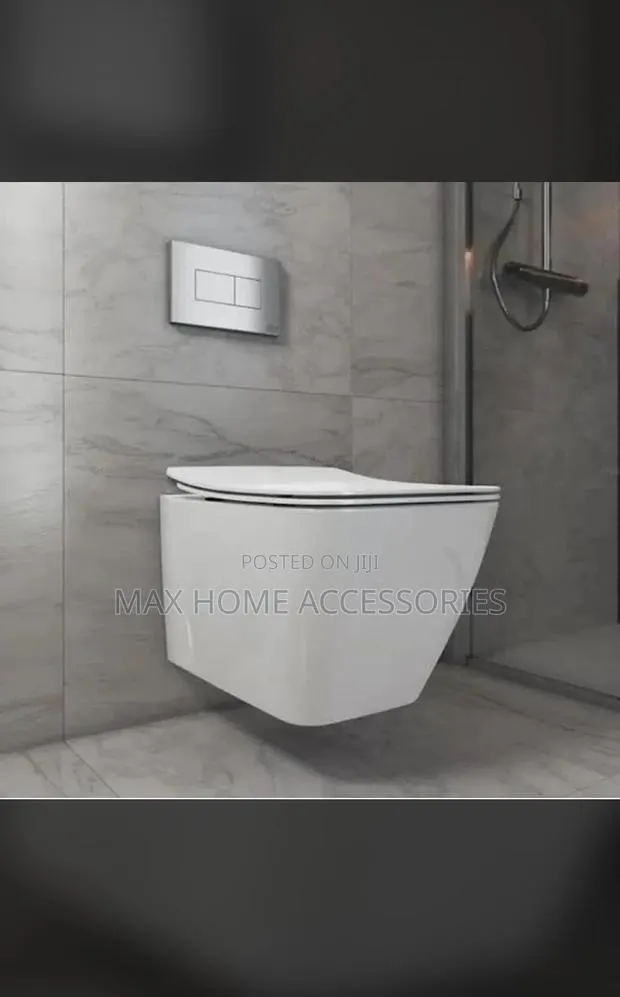 Concealed Toilet Seats